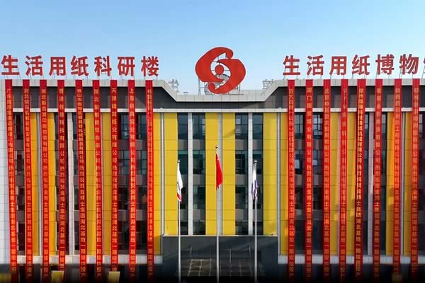 Zhongjie Special 50 ton biomass boiler assists Dr. Jin's project ignition ceremony held grandly 